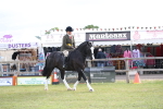 SBM_11178