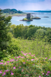 Castle Stalker