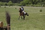BVHT 140517  IXC -499