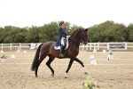 SBM_006871