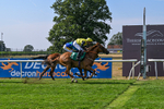160726-Race 6-Capital Guarantee-5149