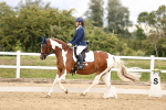 SBM_002843