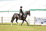 SBM_19228
