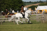 SBM_09659