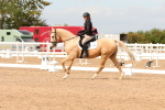 SBM_03758