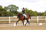 SBM_006403