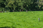 Loweswater Show-55