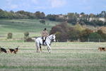 WJ7_5778