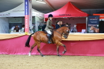 SBM_00333