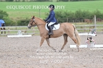 BPP_6997