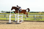 SBM_003303