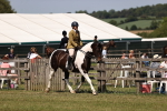 SBM_17817