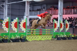 SBM_006379