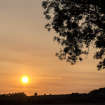 14th August Setting Sun