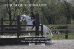 BPP_1198