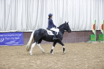 SBM_000255