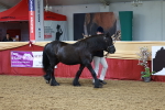 SBM_17316
