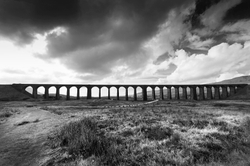 Monochrome portfolio