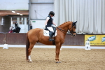 SBM_003938