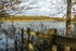 Brockholes 03