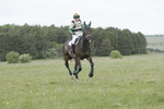 BVHT 140517  NXC -456
