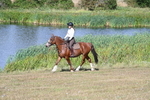 WJ7_3650