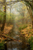 Autumn dawn