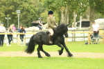 SBM_71936