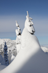 Winter - 32