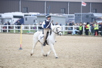 SBM_004084