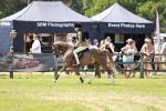 SBM_15648