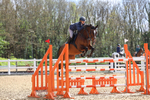 Class 9: Senior 1.30m open portfolio