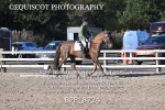 BPP_8724