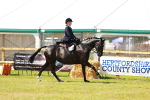 SBM_13223