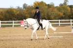 SBM_009003