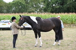 WJ6_5633