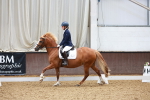SBM_000571