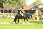 SBM_66388
