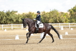SBM_008781
