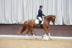 SBM_001354