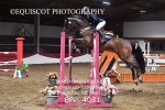 CLASS 33 Pony Foxhunter/ 1.10m portfolio