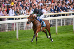 260823-Race 6-Inquisitively-0874