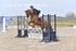 BPP_8360