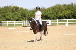 SBM_008591