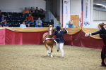 SBM_14933