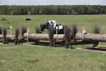 BVHT 140517  IXC -617