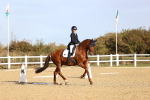 SBM_009050