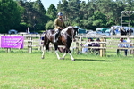 SBM_12156