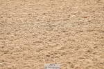 240925A-133512-00935
