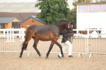 SBM_07756